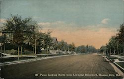 Paseo looking North from Linwood Boulevard Kansas City, MO Postcard Postcard Postcard