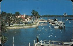 City Island Daytona Beach, FL Postcard Postcard Postcard