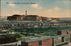 Morris Packing Plant Postcard