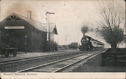 Sharon Springs Depot Postcard