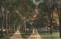 Diagonal Walks - University of Michigan Postcard