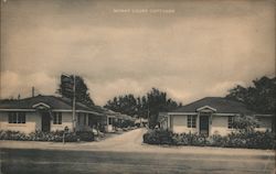 Moray Court Cottages St. Petersburg, FL Postcard Postcard Postcard