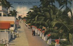 Promenade at Roney Plaza Pools Miami Beach, FL Postcard Postcard Postcard