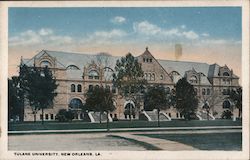 Tulane University Postcard