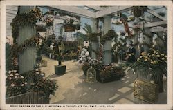 Roof Garden of the J.G. Mc Donald Chocolate Company Postcard