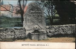 Watering Trough Postcard