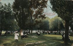 Picnic Grounds, Island Park Toronto, ON Canada Ontario Postcard Postcard Postcard