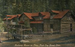 Halfway House on Pikes Peak Cog Road Postcard