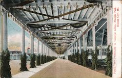 Partial View, Promenade in Carnival Attire, Electric Park Postcard