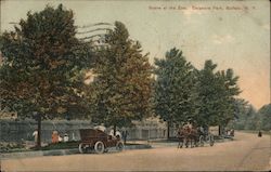 Scene at the Zoo, Delaware Park Buffalo, NY Postcard Postcard Postcard