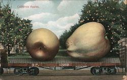 Giant California Apples on a Railroad Flatcar Postcard