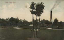 A view of three oak trees Three Oaks, MI Postcard Postcard Postcard