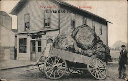 The Post Office, with a broken wagon, filled with giant heads of lettuce - "We Just Can't Stop Them From Growing" Postcard