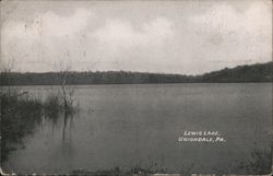 View of Lewis Lake Uniondale, PA Postcard Postcard Postcard