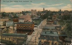 New York Ave. Looking North Rochester, PA Postcard Postcard Postcard