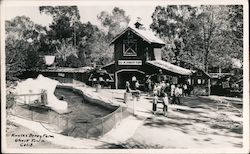 Old McDonald's Farm, Knotts Berry Farm Postcard