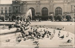 Feeding Pigeons at the Civic Center Postcard