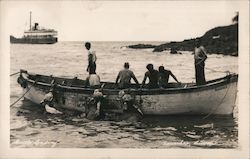 Taking Cattle to a Steamer Kawaihae, HI Postcard Postcard Postcard