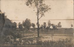 Gull Lake Looking South Postcard