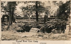 Crystal River Cave Camp Postcard