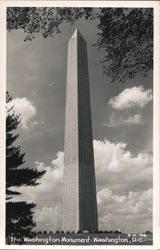 The Washington Monument Postcard