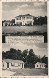 Wayne's Croft Tourist Home and Modern Cottages Postcard