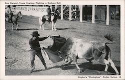 Sam Stewart, Texas Cowboy, Fighting a Brahma Bull Postcard