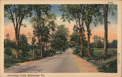 Generalized view of a tree lined road marked Greetings from Hallstead, PA Postcard