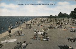 Beautiful Scene on Presque Isle Peninsula Postcard