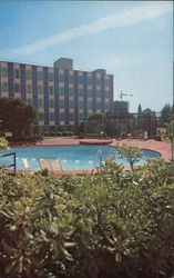 Jack Tar Hotel Postcard