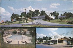 Tate Motel Knoxville, TN Postcard Postcard Postcard