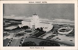 Ocean Forest Hotel Postcard