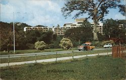 Trinidad Hilton Postcard Postcard Postcard