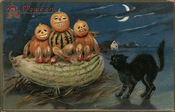 Halloween, Anthropomorphic Pumpkin People are Hissed at by Black Cat Postcard