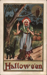 Hallowe'en - Pointing Witch with Broomstick, Black Cat and Owl Halloween Postcard Postcard Postcard