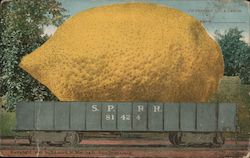 I'm Sending You a Giant Lemon in a Southern Pacific R.R. Car Postcard