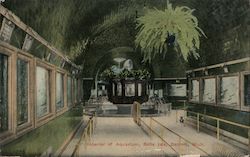 Interior of Aquarium, Belle Isle Detroit, MI Postcard Postcard Postcard