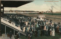 The Woodbine Toronto, ON Canada Ontario Postcard Postcard Postcard