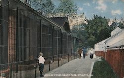 Animal Cages, Grant Park Postcard