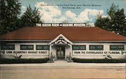 Main Entrance to the Gator Farm and Marine Museum Postcard