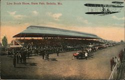 Live Stock Show, State Fair Sedalia, MO Postcard Postcard Postcard