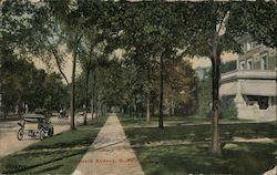 Delaware Avenue Buffalo, NY Postcard Postcard Postcard