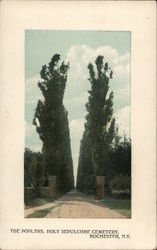 The Poplars, Holy Sepulchre Cemetery Postcard