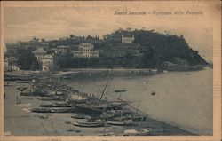 Sestri Levante - Panorama della Penisola Italy Postcard Postcard Postcard