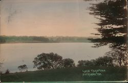 Lake Takapuna, Auckland Postcard