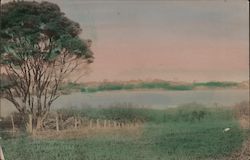 Lake Takapuna, Auckland 1920 Postcard