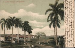 A Cuban Village (Propiedad) Postcard