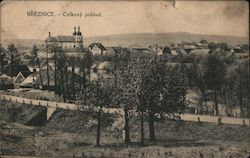 Březnice - Celkovy pohled Czech Republic Eastern Europe Postcard Postcard Postcard