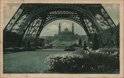 Les Marguerites aux Jardins du Champ de Mars Postcard