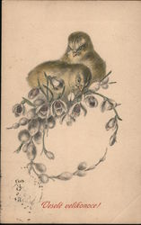 Chick on a wreath of buds - Czech Easter Postcard